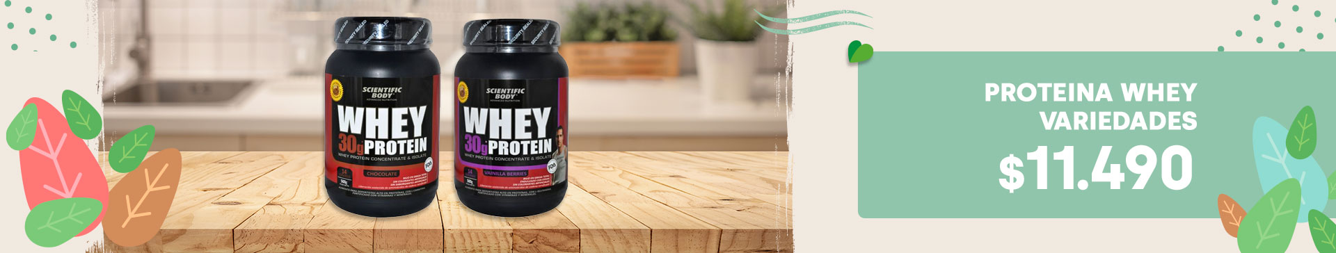 Proteina Whey variedades