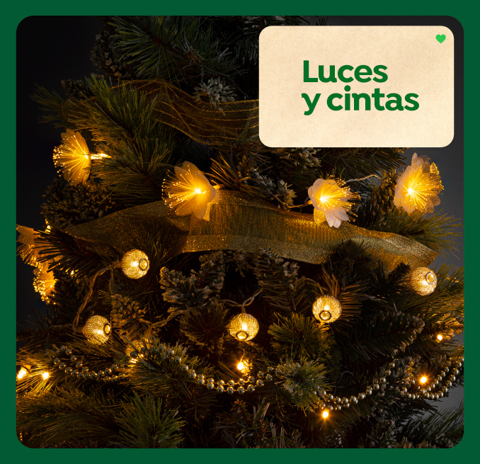 Luces y cintas