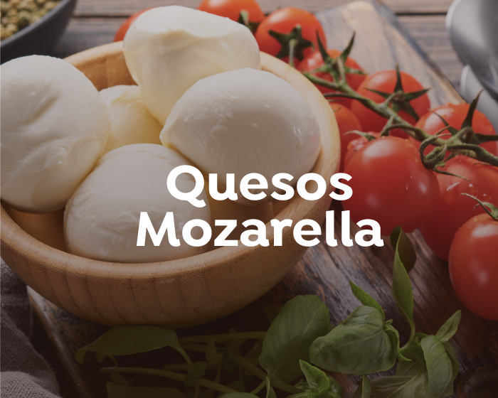 https://assets.jumbo.cl/uploads/2024/10/desktop-landing-queseria-carruselGrande2-Queso-mozarella-S43-21102024-2.jpg
