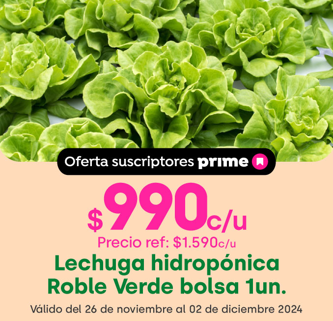 https://assets.jumbo.cl/uploads/2024/11/desktop-LandingPrime-grillachica-3-Lechuga-hidroponica-Roble-Verde-bolsa-1un-s48-26112024.jpg