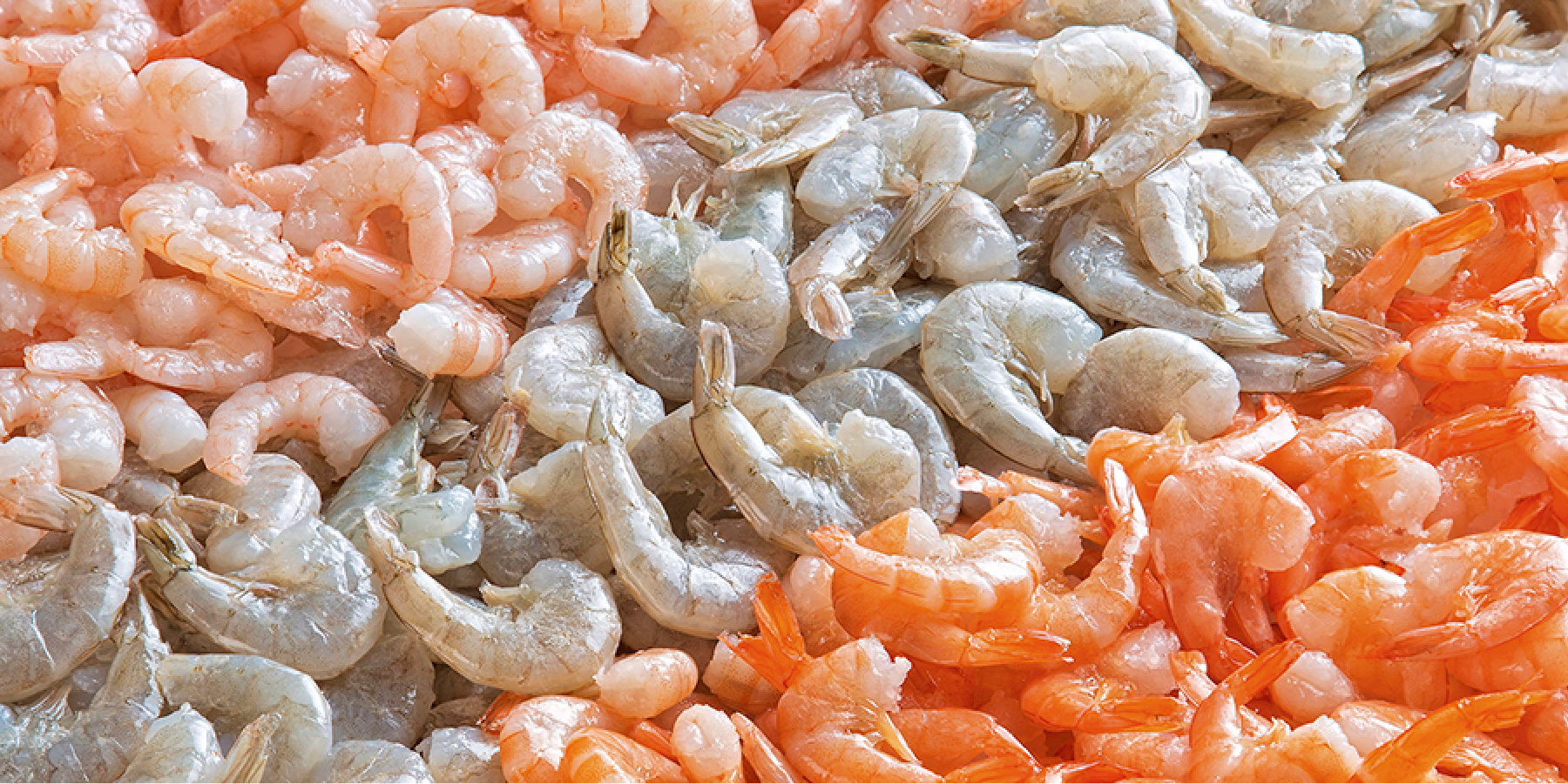 https://assets.jumbo.cl/uploads/2024/11/desktop-landing-pescaderia-nota-editorial-camarones-S47-22112024.jpg