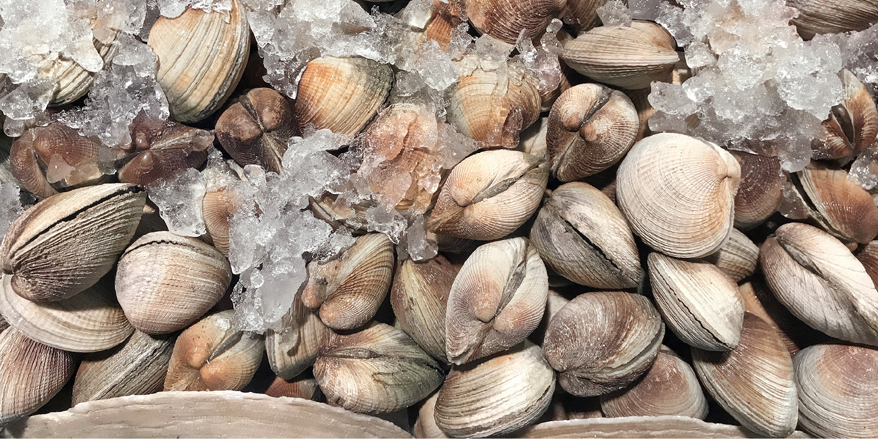 https://assets.jumbo.cl/uploads/2024/11/desktop-landing-pescaderia-nota-editorial-mariscos-S47-22112024.jpg