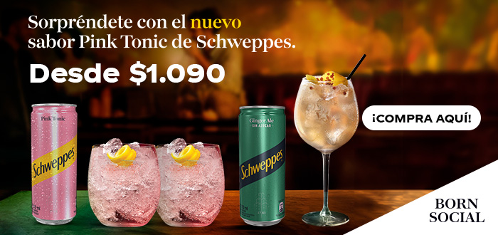 Proveedor Huincha Home - ANDINA AGENCIA - SCHWEPPES DESDE 1.090 - 31-12-2024 al 13-1-2025