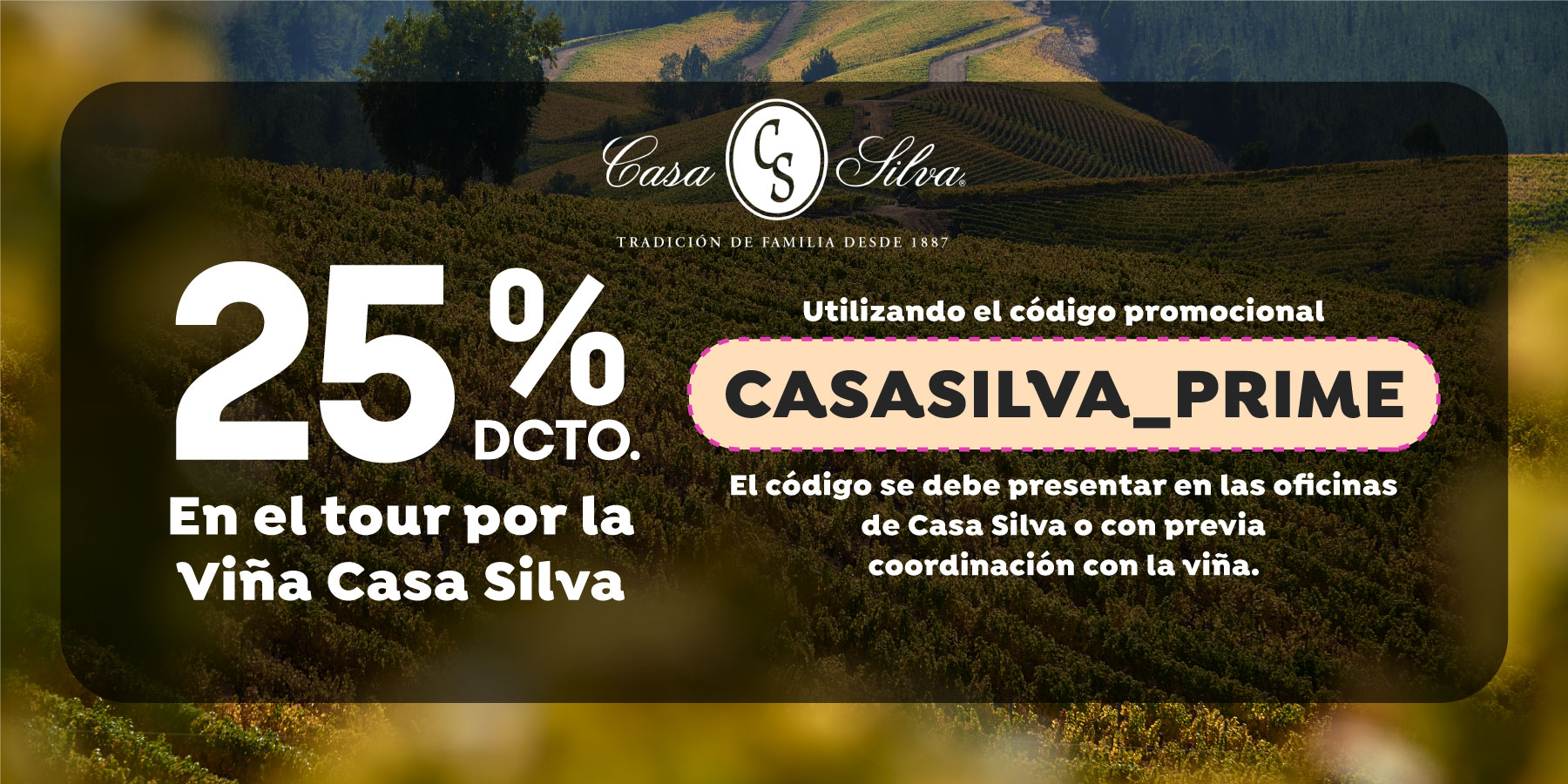 https://assets.jumbo.cl/uploads/2025/05/desktop-landingbeneficiosprime-notaeditorial-casasilva-cupon-s21-20052025-0.jpg