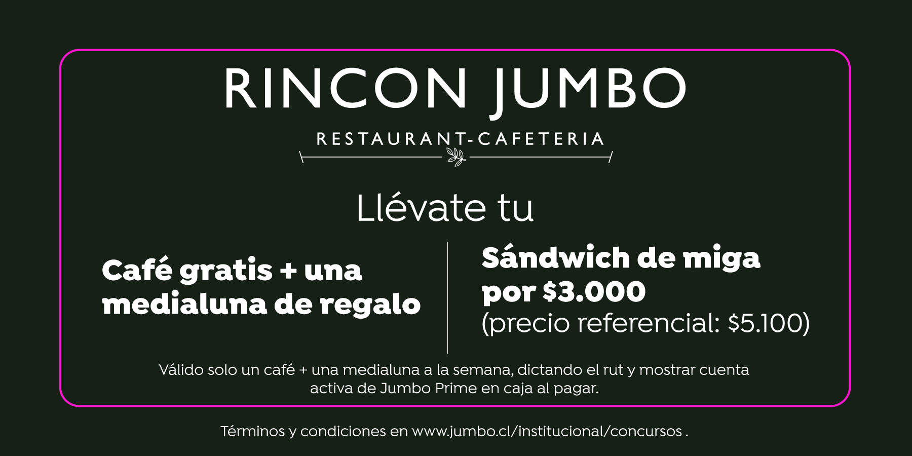 https://assets.jumbo.cl/uploads/2025/11/grilla-landing-beneficios-prime-week-rinconjumbo-s21-19052026.jpg