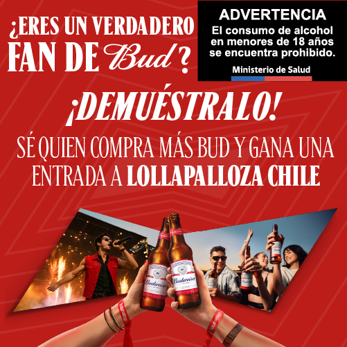 Cervezas seleccionadas hasta 40% dcto.