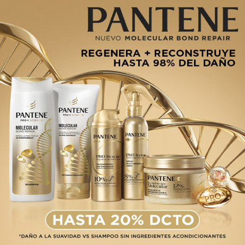 Pantene Capilar hasta 20% dcto.