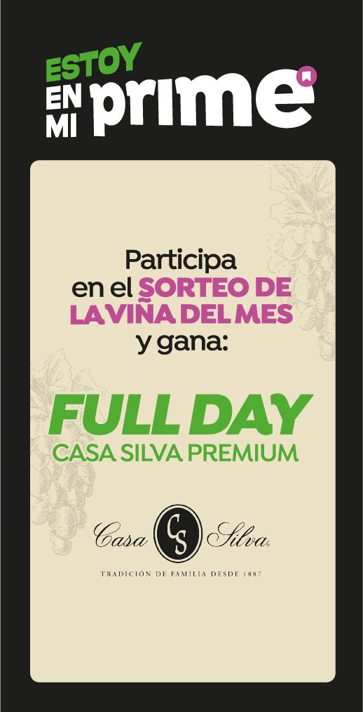 Gana un Full Day Casa Silva Premium