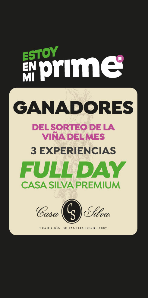 Ganadores Concurso Prime Full Day Casa Silva Premium